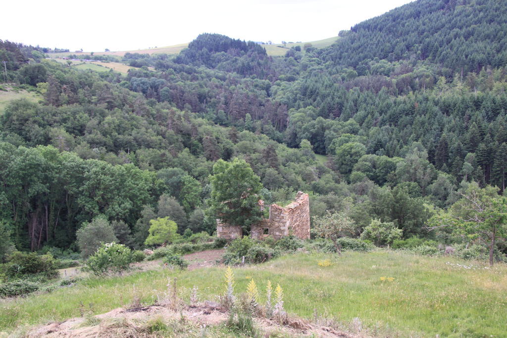 Gite Chez Coste Gilles Saint-Privat-du-Dragon Bilik gambar