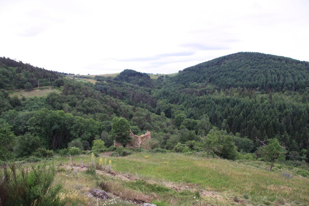 Gite Chez Coste Gilles Saint-Privat-du-Dragon Luaran gambar